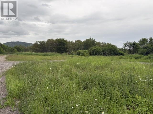 0 Wheeler's Road, Noel's Pond, Newfoundland & Labrador  A2N 1S0 - Photo 2 - 1300385