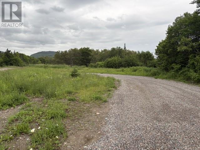 0 Wheeler's Road, Noel's Pond, Newfoundland & Labrador  A2N 1S0 - Photo 4 - 1300385
