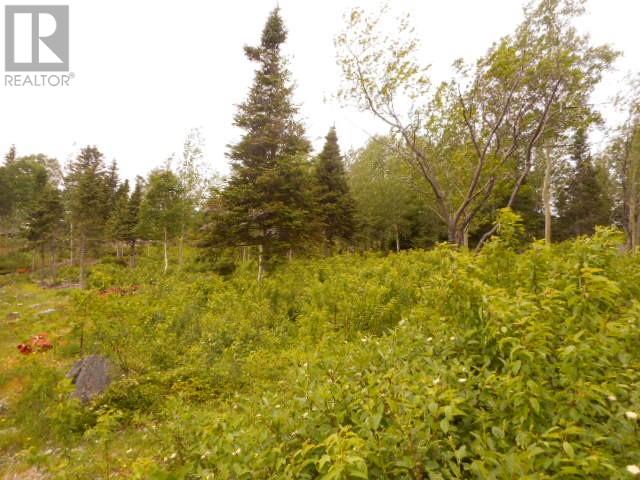00 Salt Pond Road, Springdale, Newfoundland & Labrador  A0J 1T0 - Photo 2 - 1300470