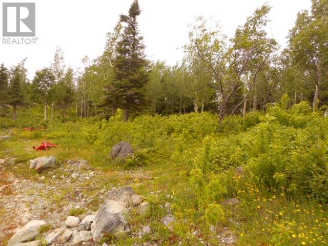 00 Salt Pond Road, Springdale, Newfoundland & Labrador  A0J 1T0 - Photo 3 - 1300470