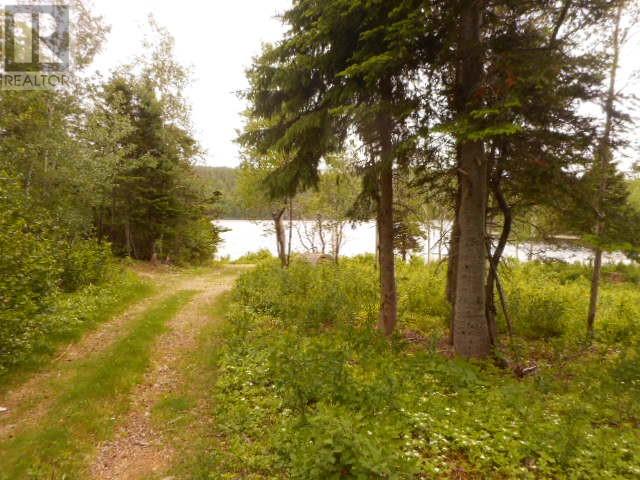 00 Salt Pond Road, Springdale, Newfoundland & Labrador  A0J 1T0 - Photo 5 - 1300470