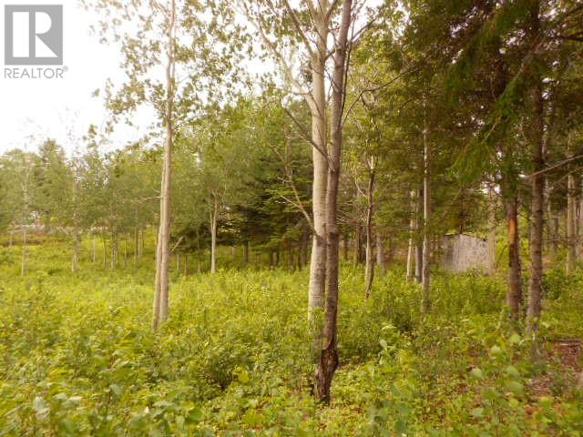 00 Salt Pond Road, Springdale, Newfoundland & Labrador  A0J 1T0 - Photo 6 - 1300470