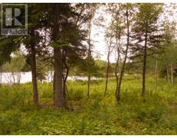 00 Salt Pond Road, Springdale, Newfoundland & Labrador