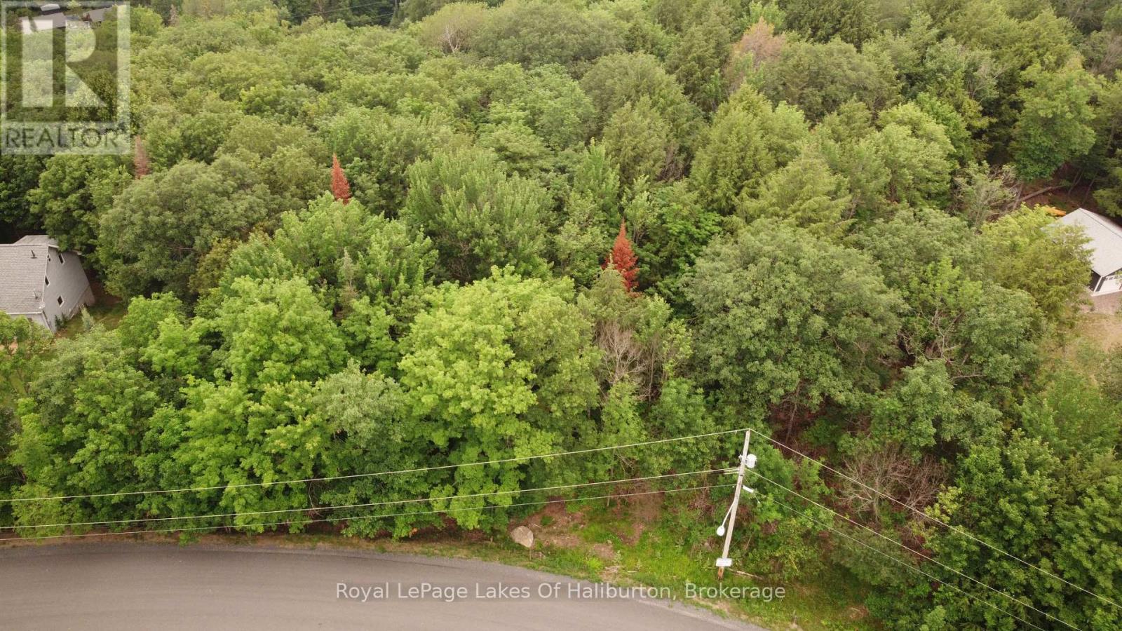 0 Dome Street, Dysart Et Al, Ontario  K0M 1S0 - Photo 3 - X13567534