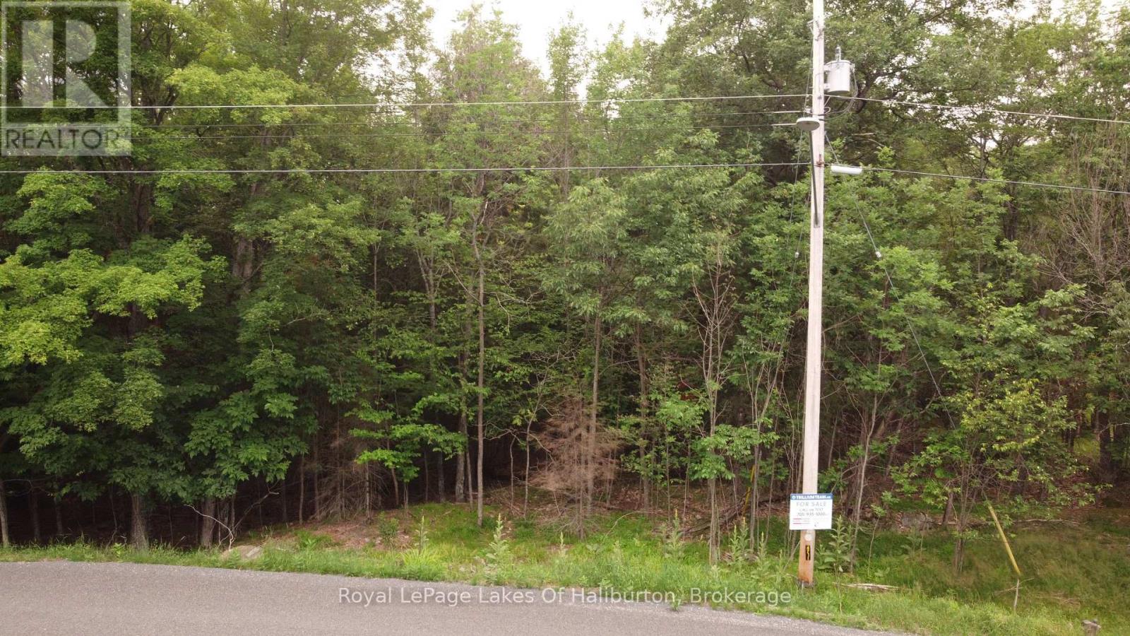 0 Dome Street, Dysart Et Al, Ontario  K0M 1S0 - Photo 6 - X13567534