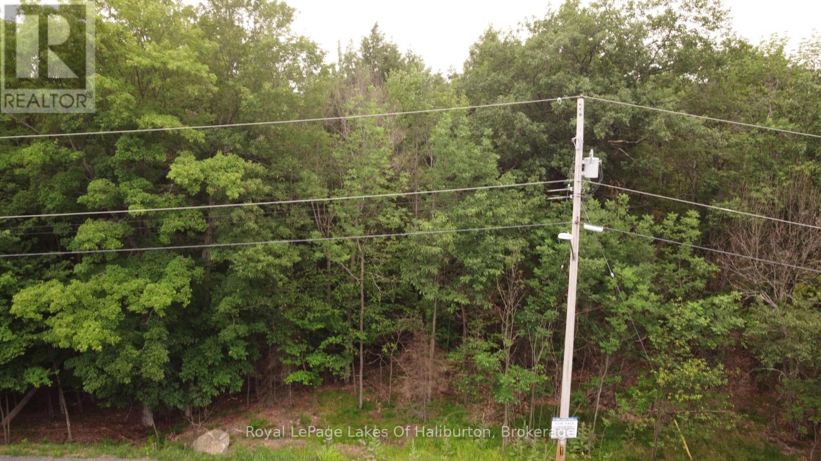 0 Dome Street, Dysart Et Al, Ontario  K0M 1S0 - Photo 7 - X13567534
