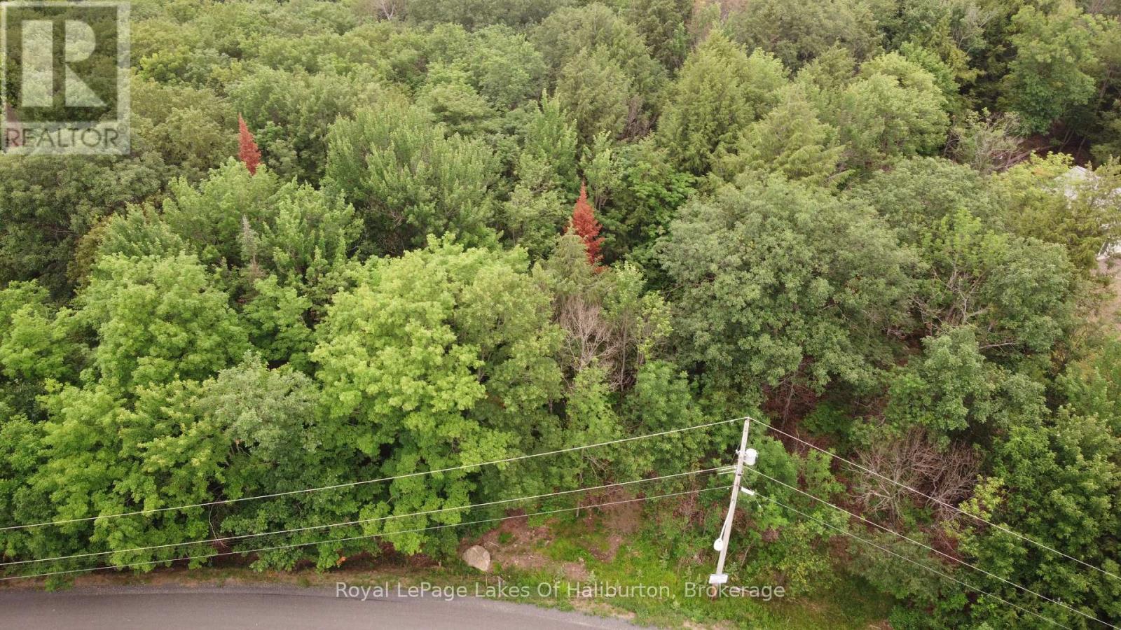 0 Dome Street, Dysart Et Al, Ontario  K0M 1S0 - Photo 8 - X13567534
