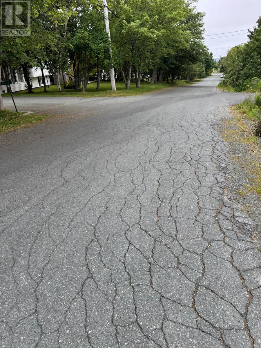 17 Middle Ridge, Conception Bay South, Newfoundland & Labrador  A1X 6B4 - Photo 5 - 1300322