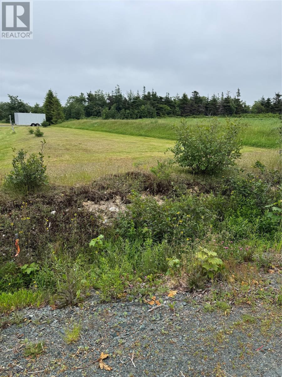 17 Middle Ridge, Conception Bay South, Newfoundland & Labrador  A1X 6B4 - Photo 4 - 1300322