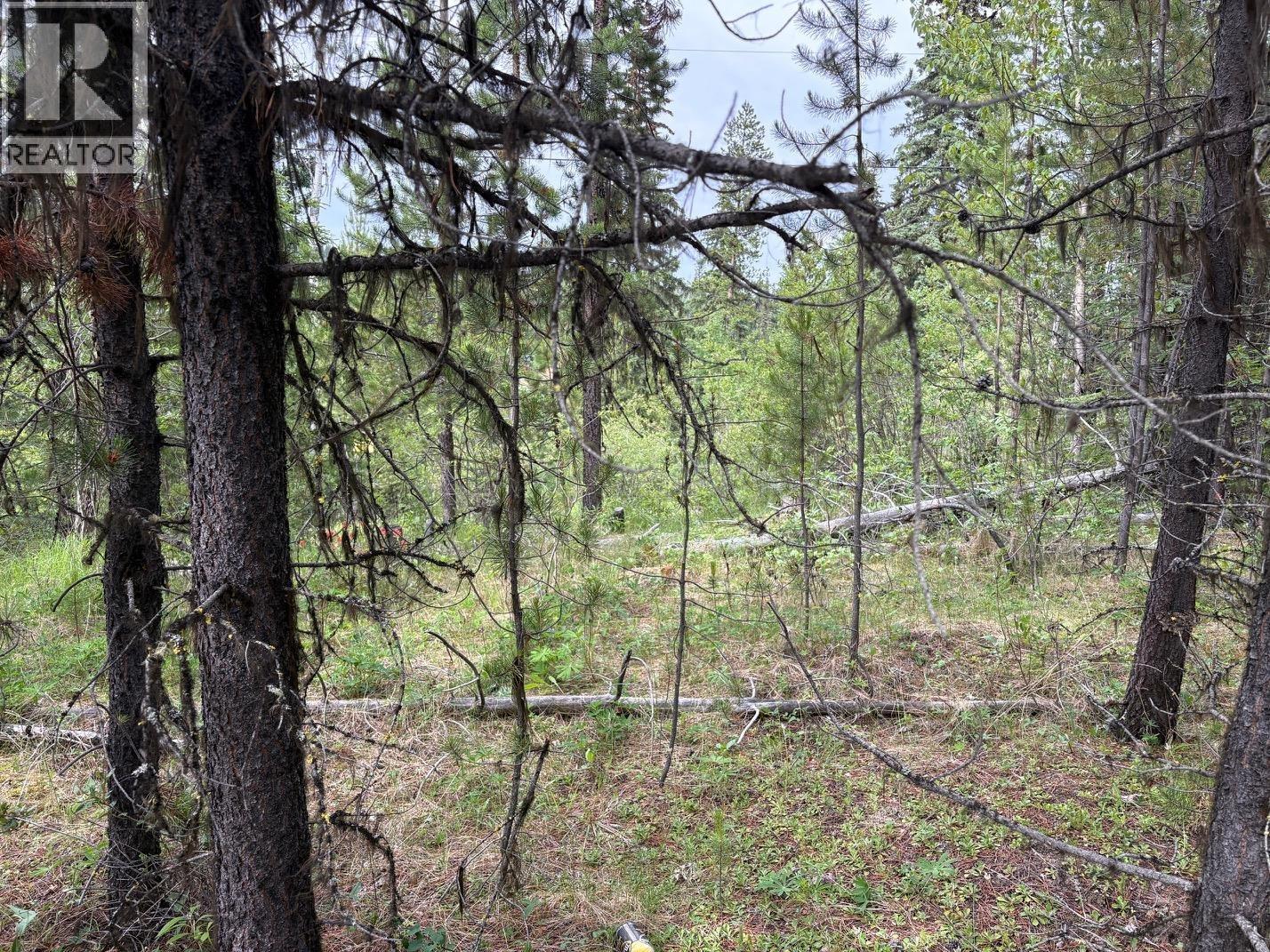 Lot 3 Horse Lake Road, Deka Lake / Sulphurous / Hathaway Lakes, British Columbia V0K 2E3 - Photo 2 - R3143551