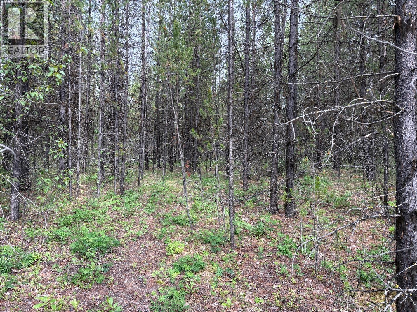 Lot 3 Horse Lake Road, Deka Lake / Sulphurous / Hathaway Lakes, British Columbia V0K 2E3 - Photo 3 - R3143551