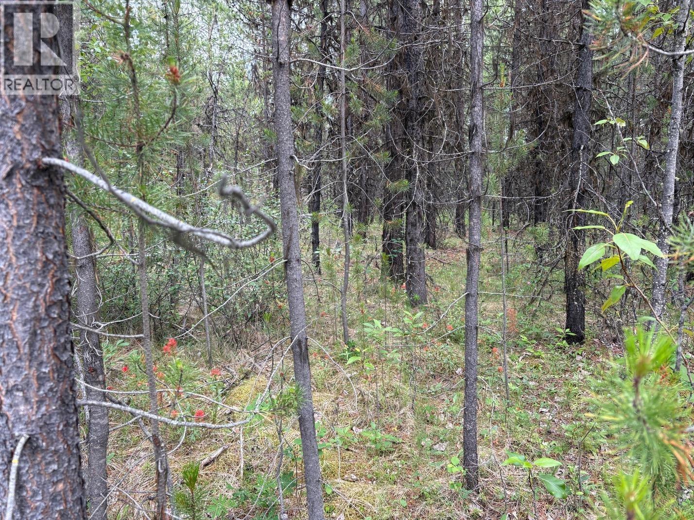 Lot 3 Horse Lake Road, Deka Lake / Sulphurous / Hathaway Lakes, British Columbia V0K 2E3 - Photo 1 - R3143551