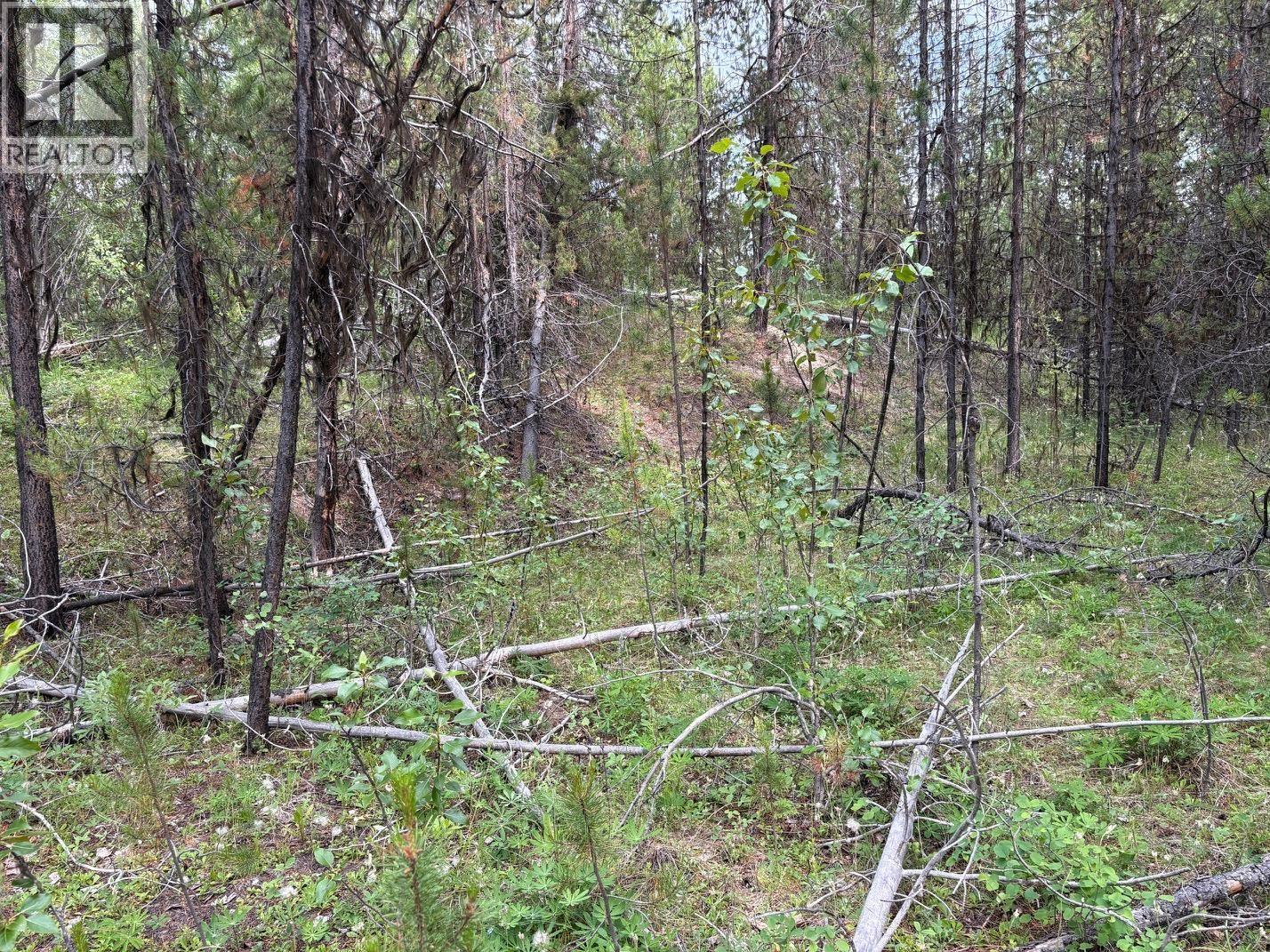 Lot 3 Horse Lake Road, Deka Lake / Sulphurous / Hathaway Lakes, British Columbia V0K 2E3 - Photo 4 - R3143551
