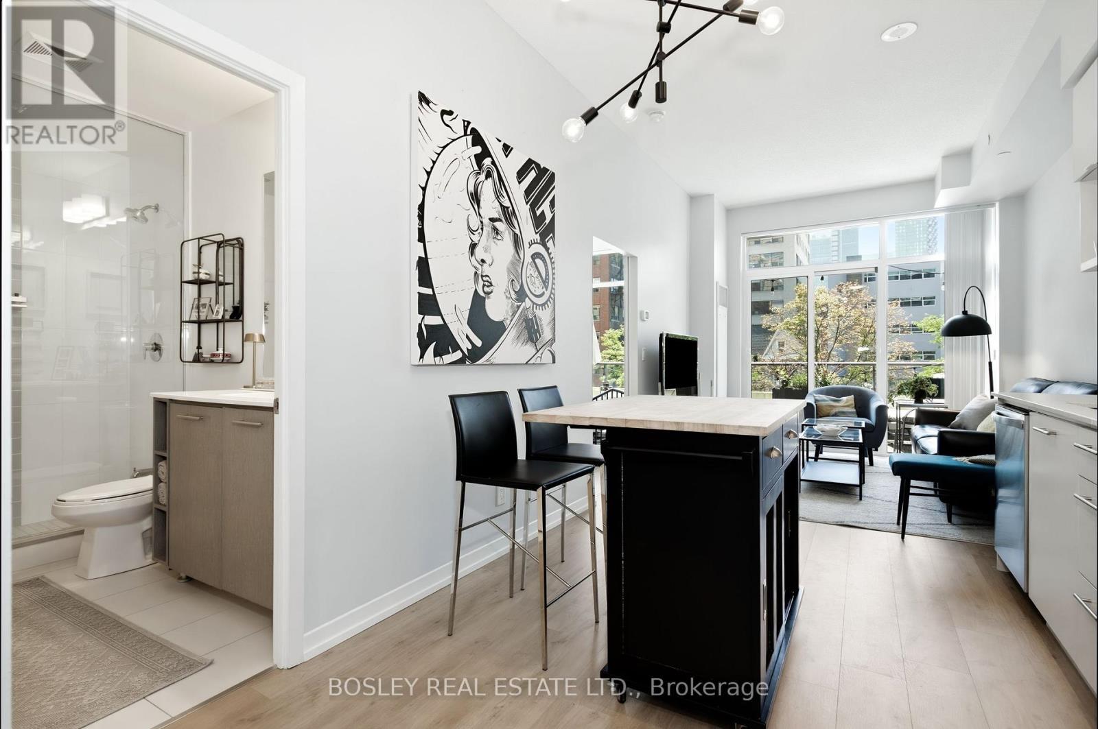 205 - 435 Richmond Street W, Toronto, Ontario  M5V 0N3 - Photo 3 - C13567948