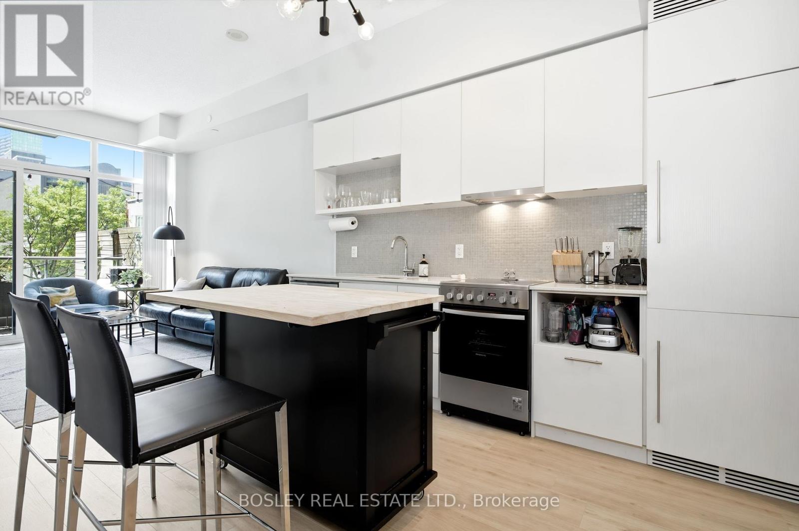 205 - 435 Richmond Street W, Toronto, Ontario  M5V 0N3 - Photo 4 - C13567948