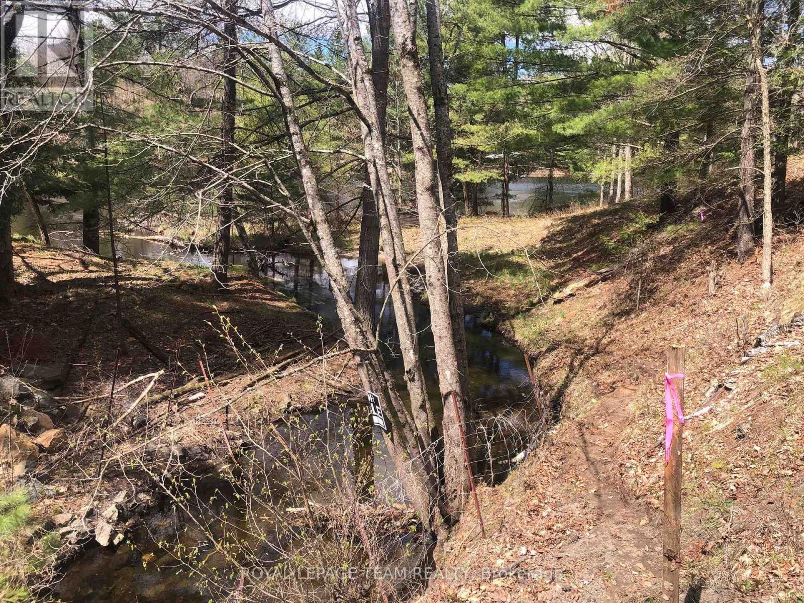 00 Little Silver Lake Road, Tay Valley, Ontario  K0H 2B0 - Photo 12 - X13495328