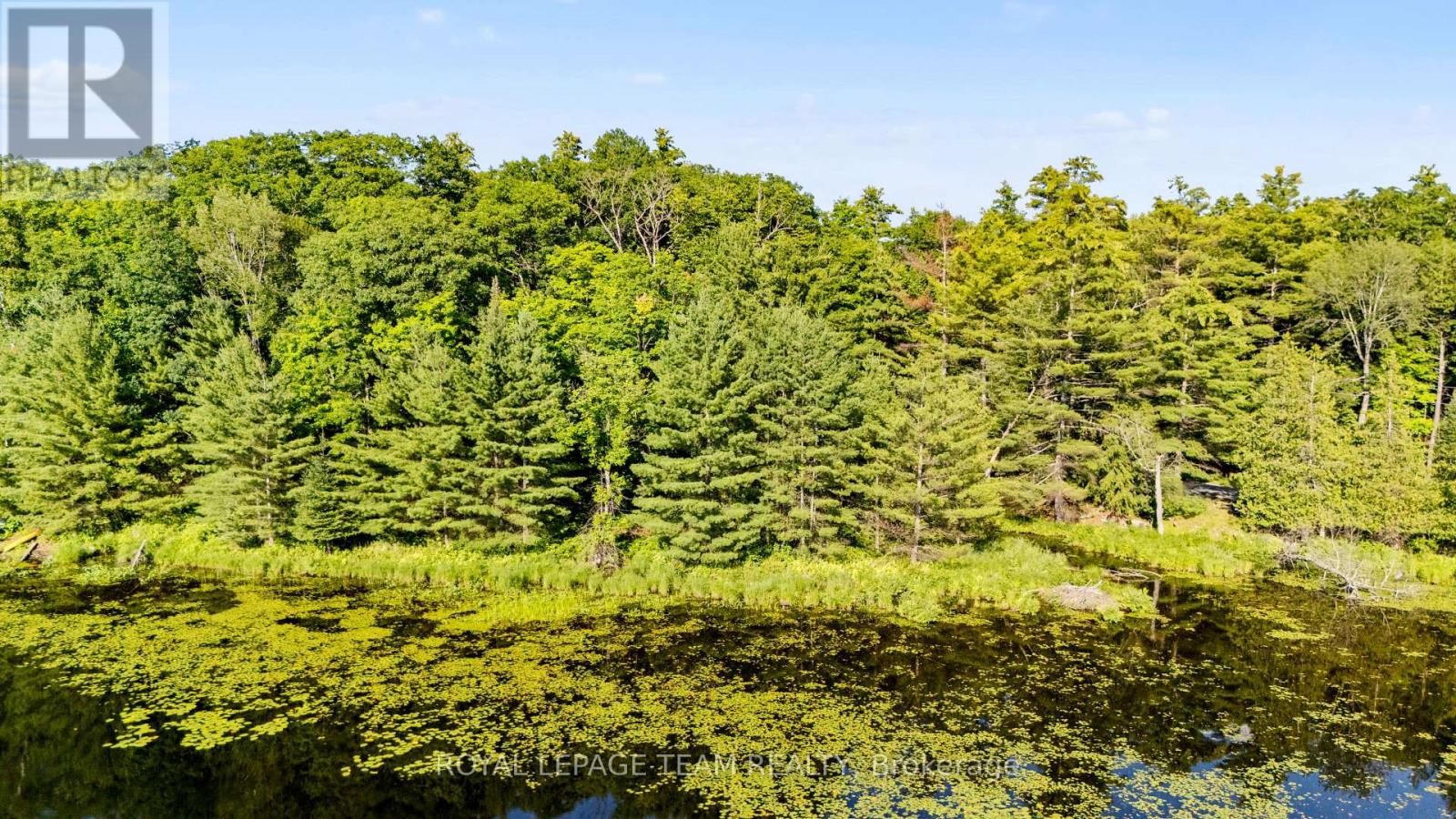 00 Little Silver Lake Road, Tay Valley, Ontario K0H 2B0 - Photo 5 - X13495328