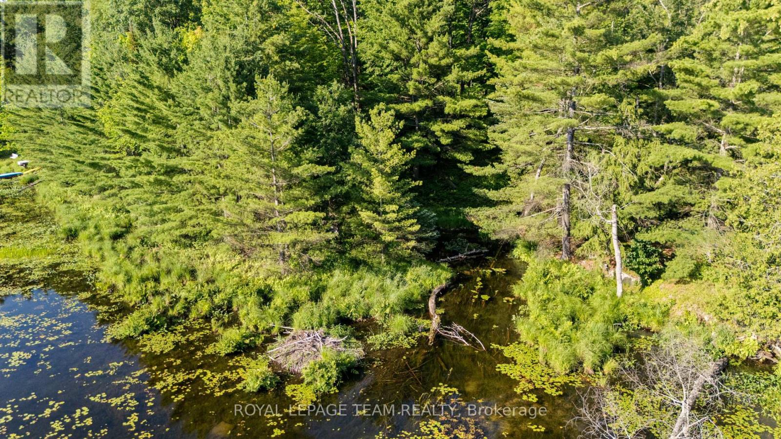 00 Little Silver Lake Road, Tay Valley, Ontario K0H 2B0 - Photo 6 - X13495328