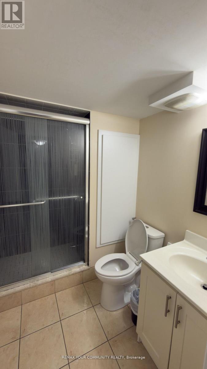 Basement - 117 English Oak Drive, Richmond Hill, Ontario L4E 3X4 - Photo 14 - N13568508