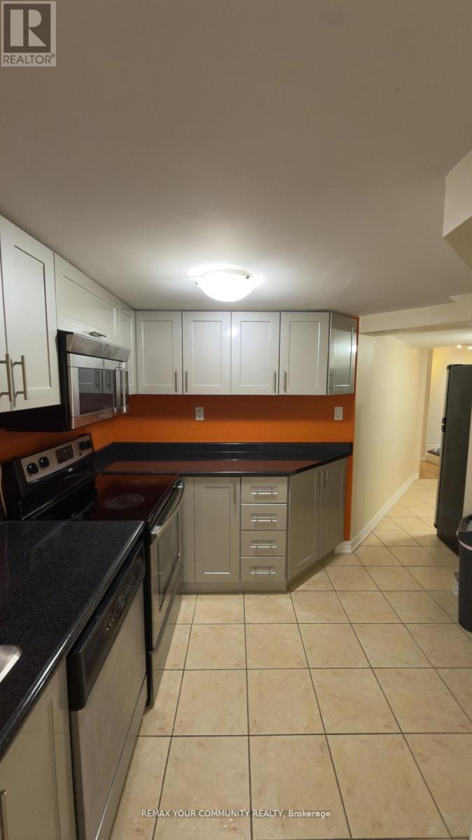 Basement - 117 English Oak Drive, Richmond Hill, Ontario L4E 3X4 - Photo 5 - N13568508