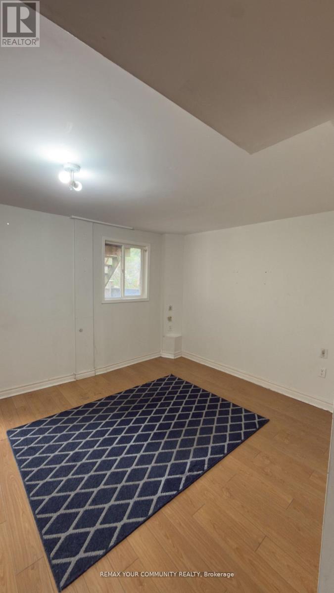 Basement - 117 English Oak Drive, Richmond Hill, Ontario L4E 3X4 - Photo 8 - N13568508