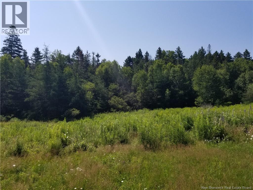 624 Mascarene Road, Mascarene, New Brunswick  E5C 2S4 - Photo 21 - NB143764
