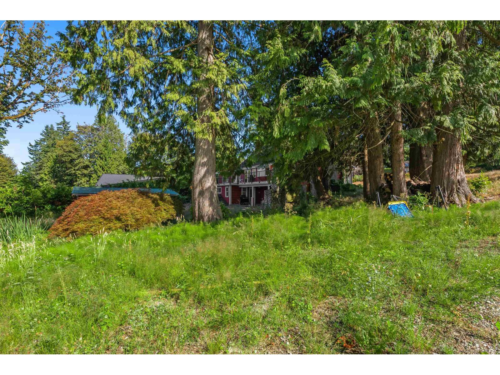 17311 HILLVIEW PLACE — photo 33