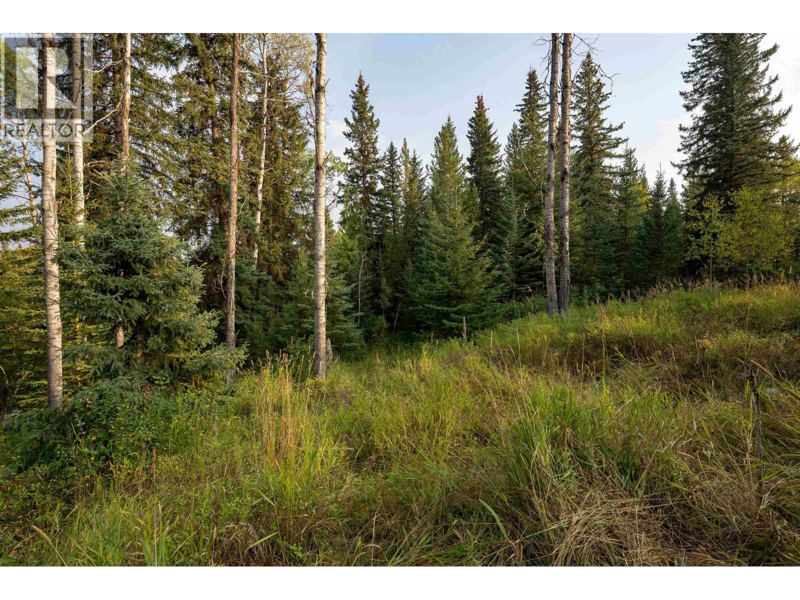 7470 Cariboo Chalet Road, Deka Lake / Sulphurous / Hathaway Lakes, British Columbia V0K 1X3 - Photo 30 - R3146173