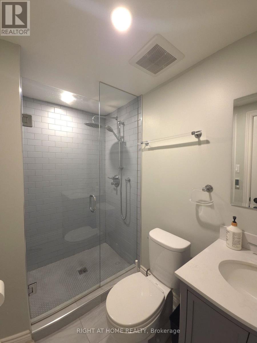 Lower - 1570 Lewes Way, Mississauga, Ontario L4W 3S5 - Photo 10 - W13569652