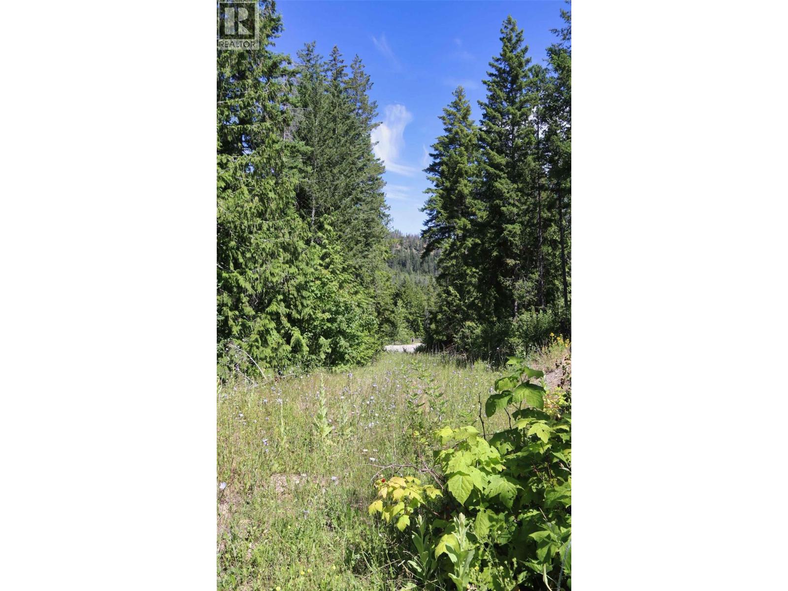 Lot 11 Recline Ridge Road, Tappen, British Columbia  V0E 2X3 - Photo 15 - 10394815
