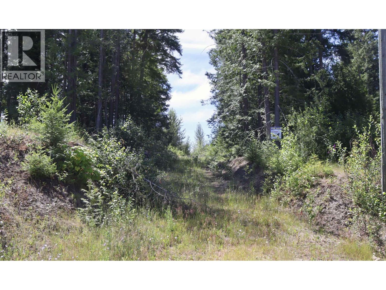 Lot 11 Recline Ridge Road, Tappen, British Columbia  V0E 2X3 - Photo 18 - 10394815