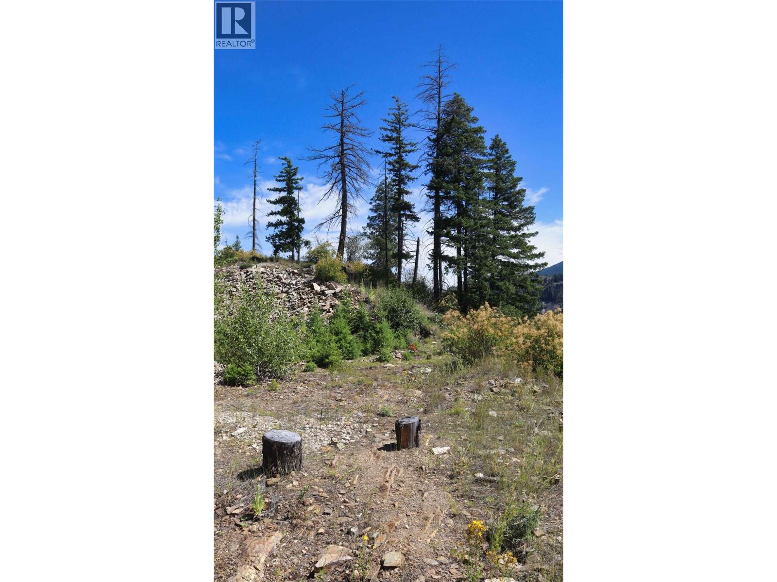 Lot 11 Recline Ridge Road, Tappen, British Columbia  V0E 2X3 - Photo 19 - 10394815