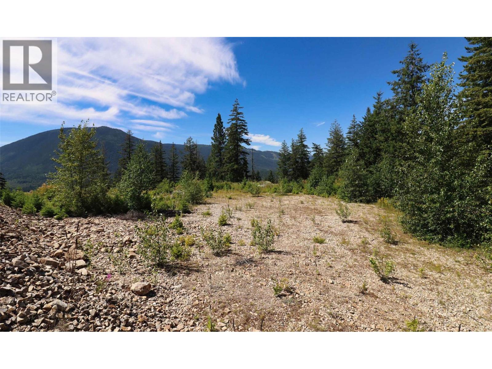 Lot 11 Recline Ridge Road, Tappen, British Columbia  V0E 2X3 - Photo 20 - 10394815