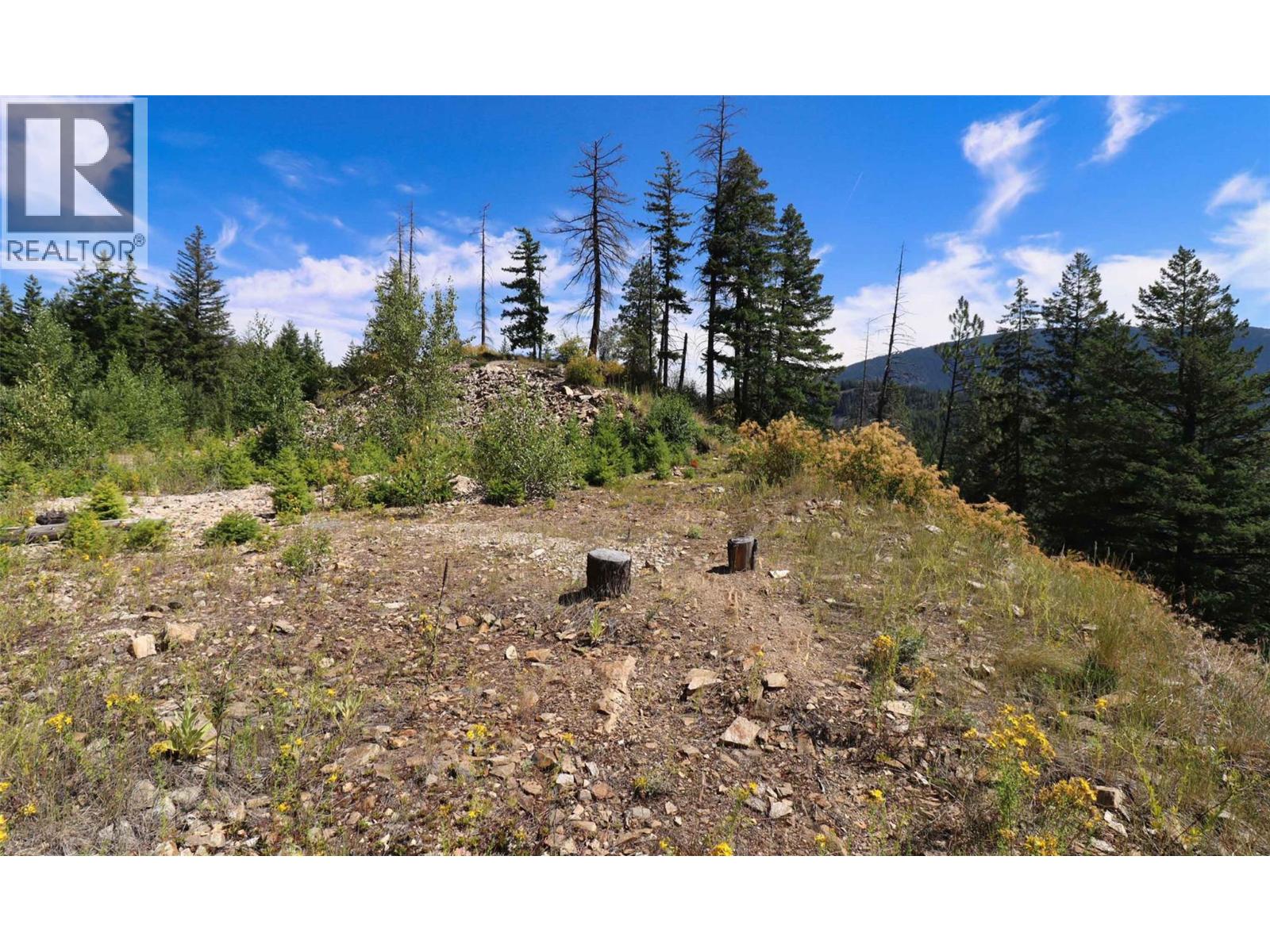 Lot 11 Recline Ridge Road, Tappen, British Columbia  V0E 2X3 - Photo 24 - 10394815