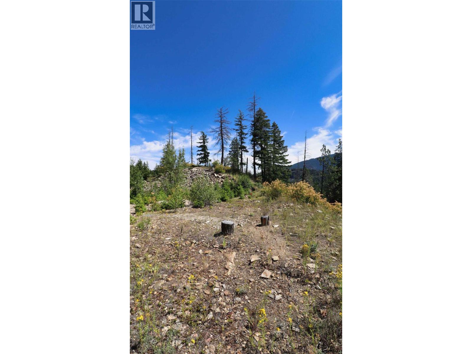 Lot 11 Recline Ridge Road, Tappen, British Columbia  V0E 2X3 - Photo 25 - 10394815