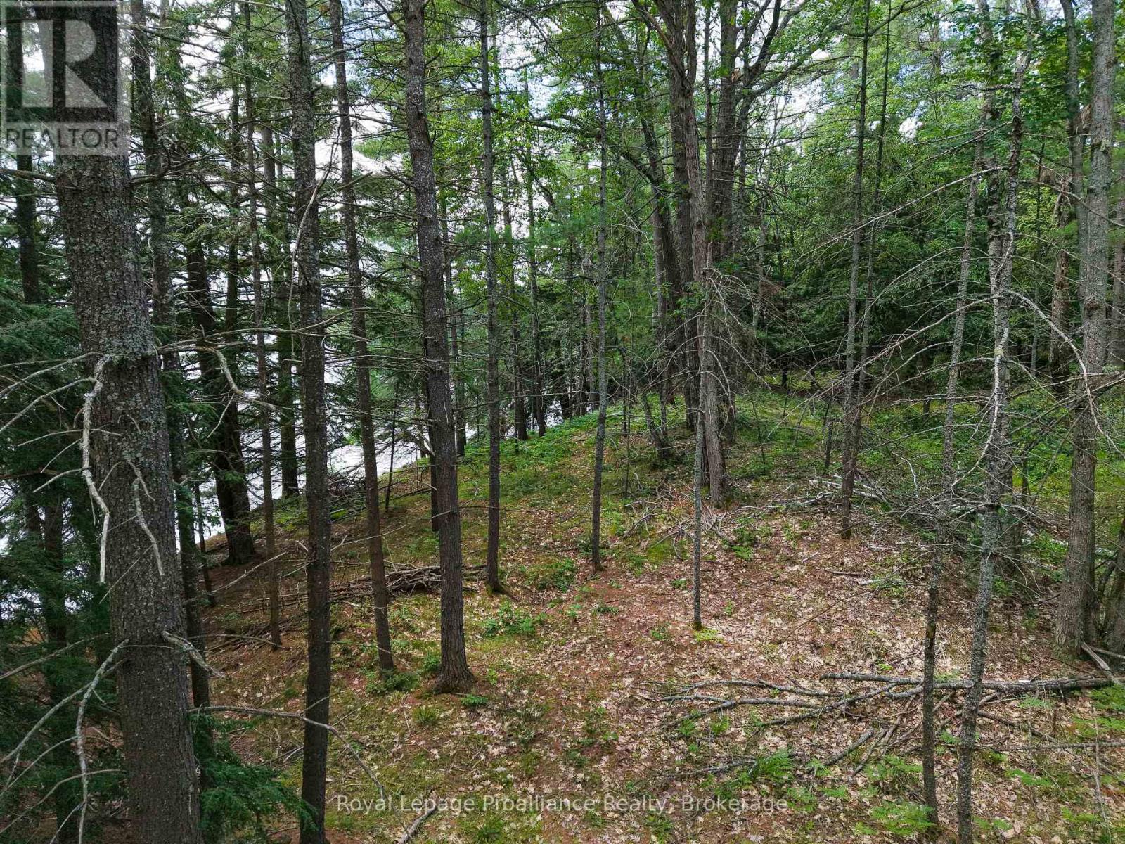 4 Wao Kasshabog Lake, Havelock-Belmont-Methuen, Ontario  K0L 2H0 - Photo 27 - X13570158
