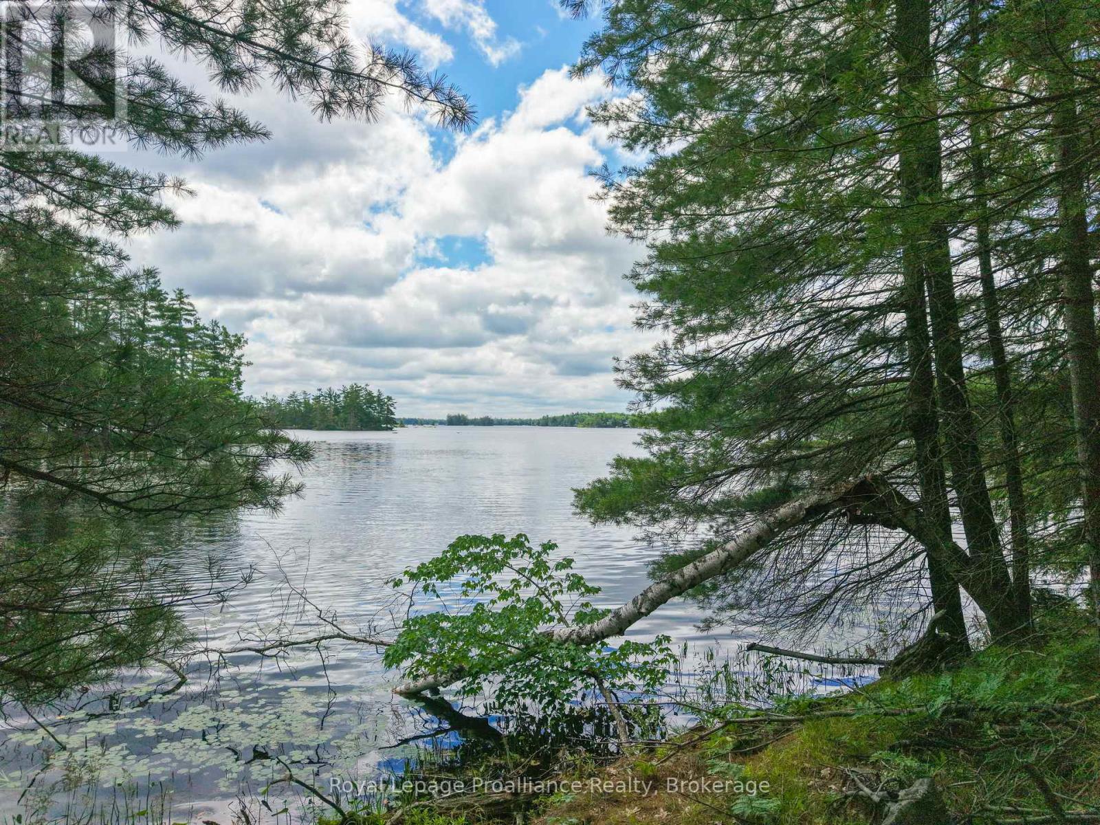 4 Wao Kasshabog Lake, Havelock-Belmont-Methuen, Ontario  K0L 2H0 - Photo 31 - X13570158
