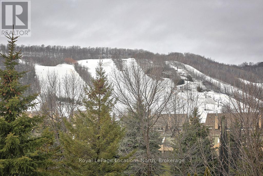 220 - 120 Fairway Court, Blue Mountains, Ontario  L9Y 0P8 - Photo 30 - X13570260