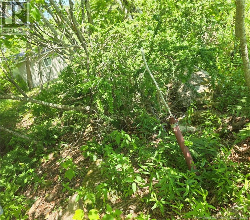 90 Crowley Road, Saint John, New Brunswick  E2K 5J1 - Photo 14 - NB144153