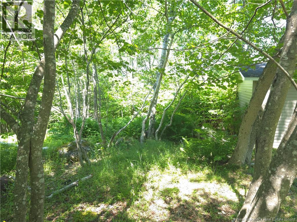 90 Crowley Road, Saint John, New Brunswick  E2K 5J1 - Photo 9 - NB144153