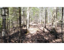 1025 520N HIGHWAY, whitestone, Ontario
