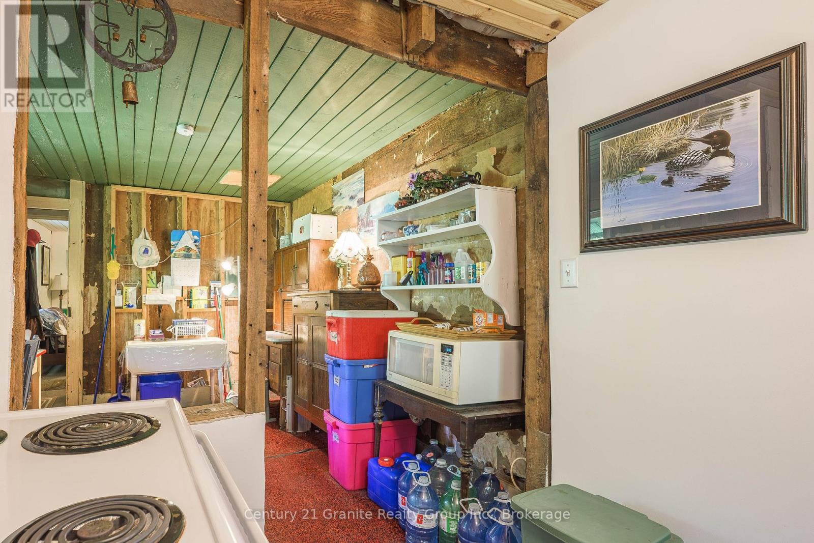 1745 Ingoldsby Road, Minden Hills, Ontario  K0M 2K0 - Photo 10 - X13570960