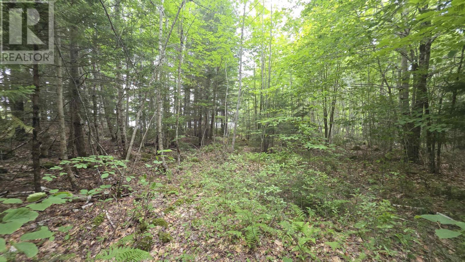 101 Madashak Road, Middle New Cornwall, Nova Scotia  B0J 2E0 - Photo 4 - 202617518
