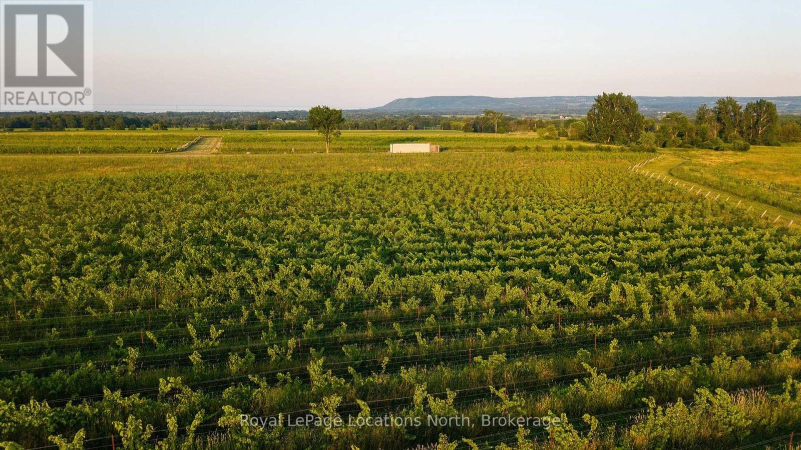 357065 The Blue Mountains Meaford Townline Road, Blue Mountains, Ontario  N0H 2P0 - Photo 29 - X13571208