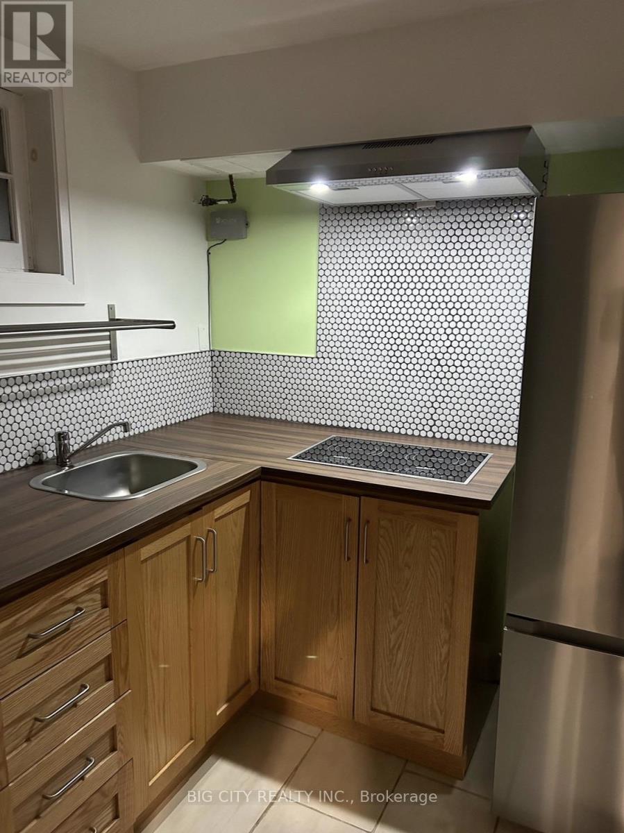 LOWER - 107 BROOKHAVEN DRIVE - Photo 14