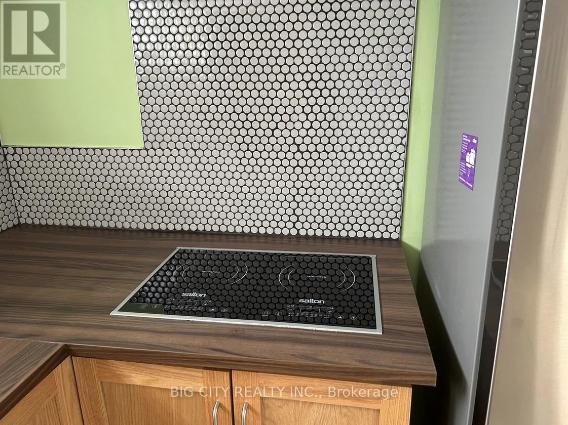 LOWER - 107 BROOKHAVEN DRIVE - Photo 17