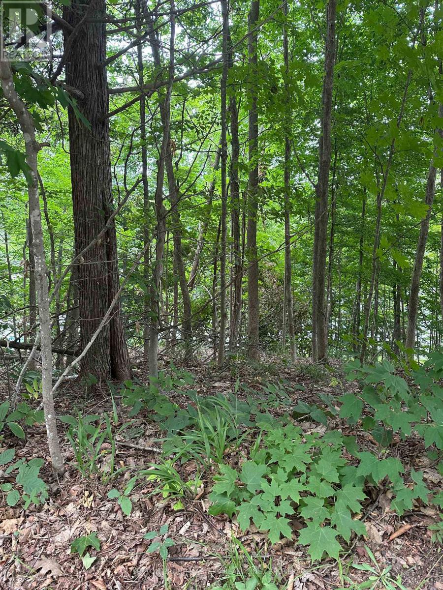 0 Silver Rock Lane, Frontenac, Ontario  K0H 2W0 - Photo 3 - X13565466