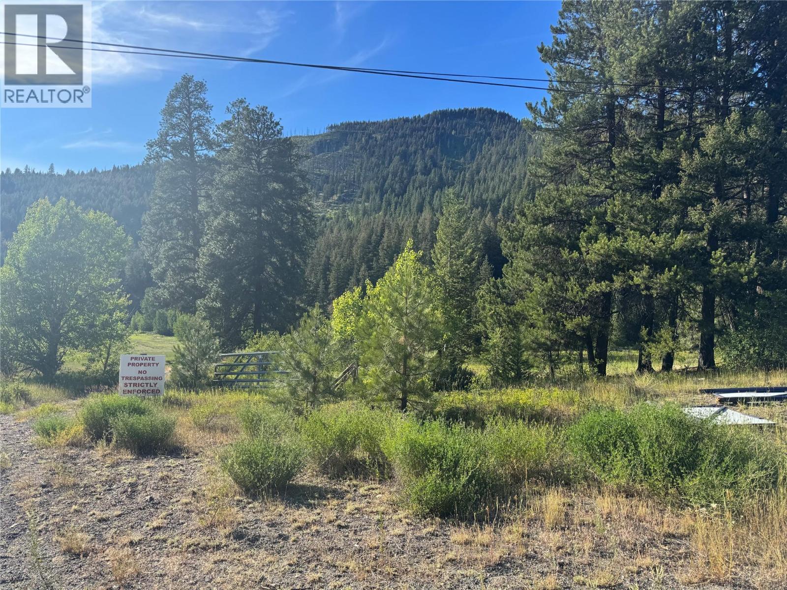 2692 Highway 5a, Princeton, British Columbia V0X 1W0 - Photo 4 - 10394422