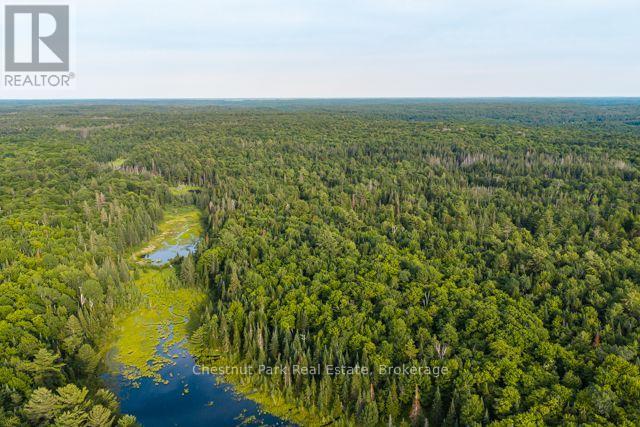 N/a .n/a, Muskoka Lakes, Ontario  P0C 1J0 - Photo 10 - X13515308