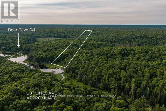 0 0, Muskoka Lakes, Ontario  P0C 1J0 - Photo 2 - X13515360